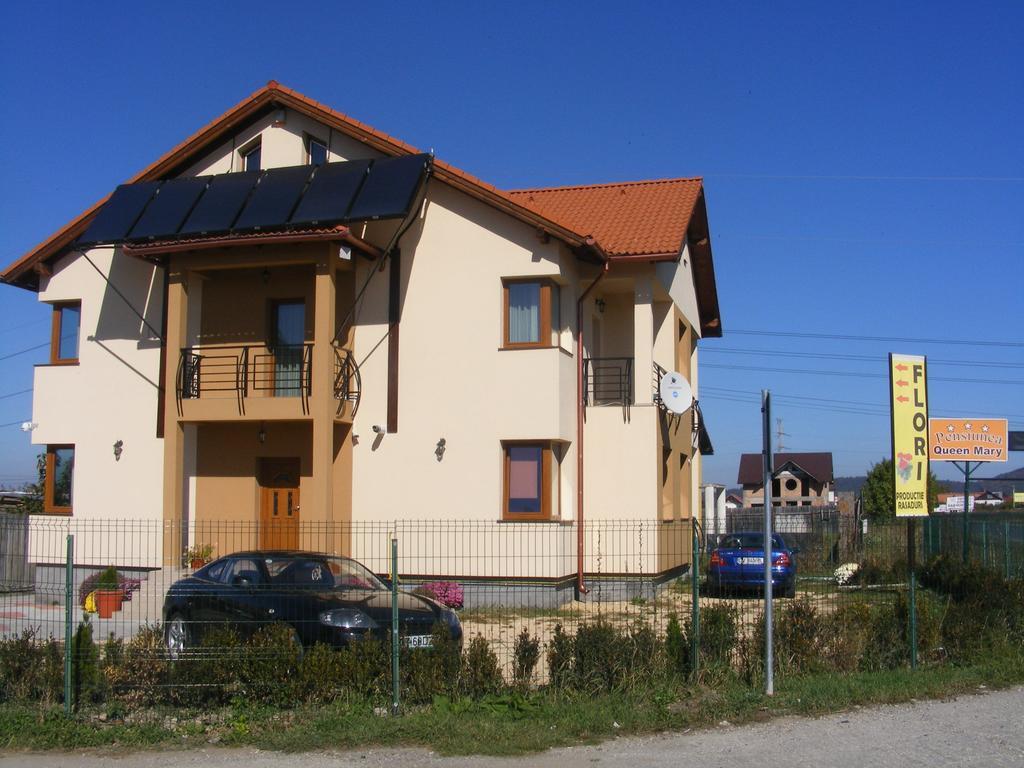 Pensiunea Queen Mary Sînpetru Exterior foto